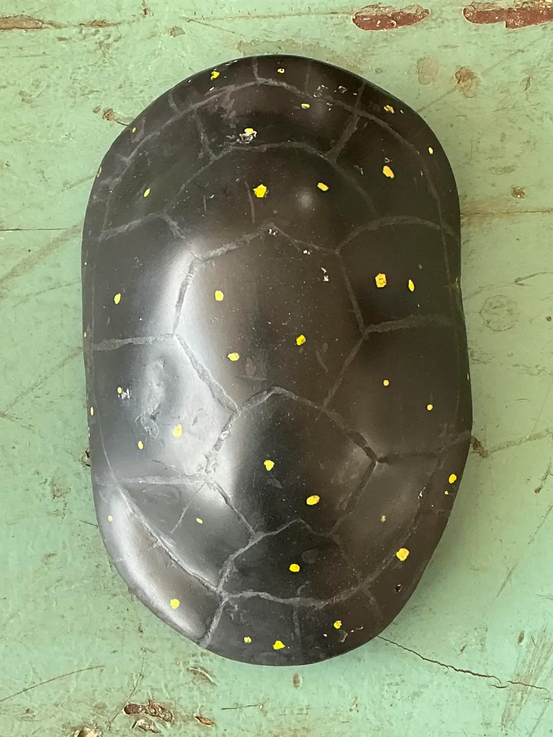 Vintage Italian Scagliola Pigmented Plaster Turtle Shell - Top view