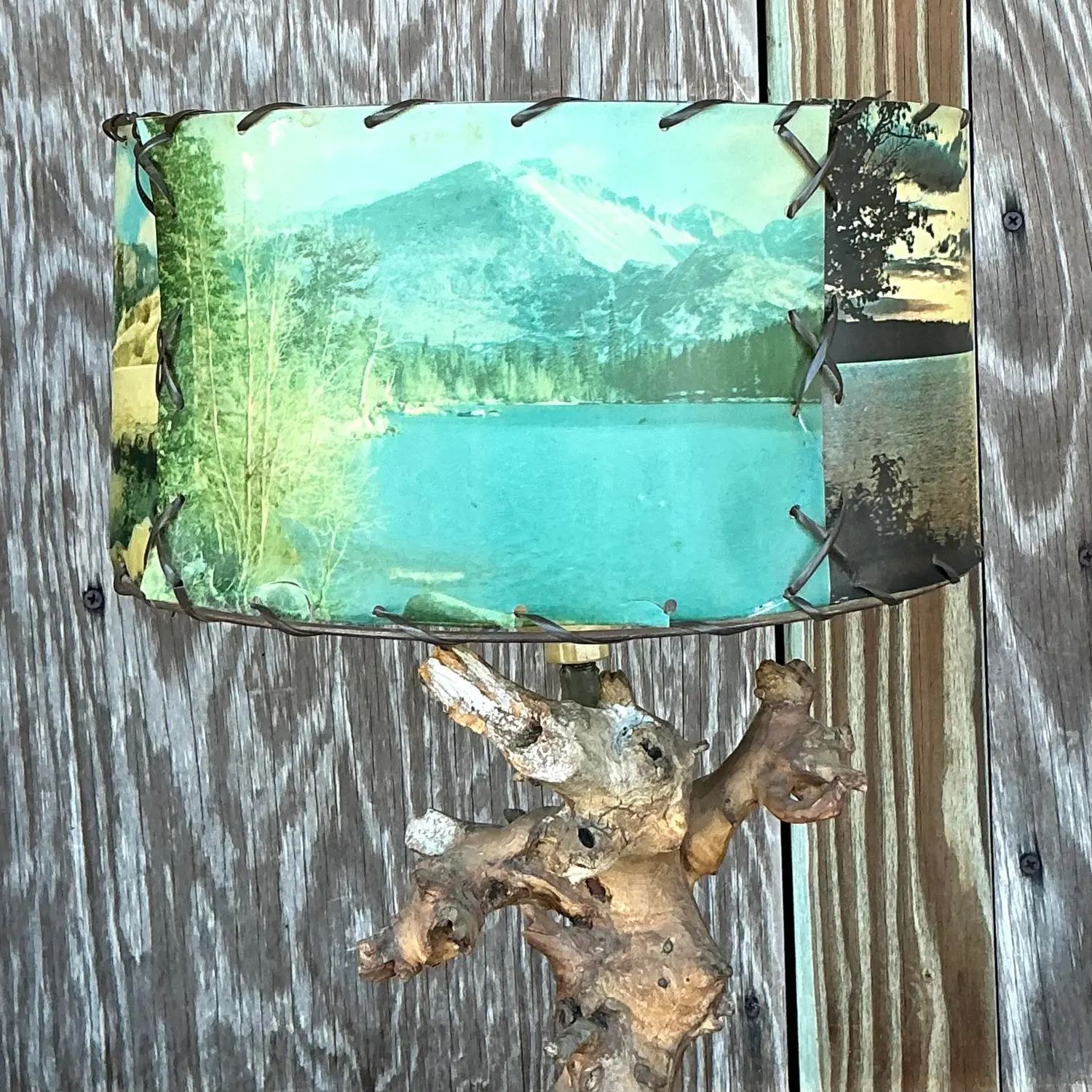 Vintage Mid 20th Century Driftwood Lamp With Scenic Shade - Top view