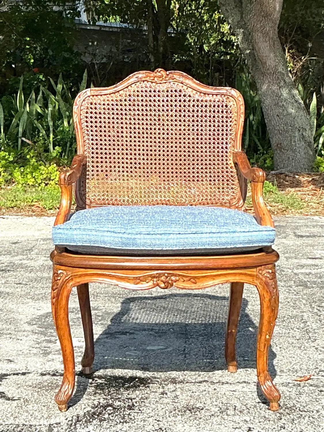 Vintage Regency Cane Fauteuil Chair - Back view