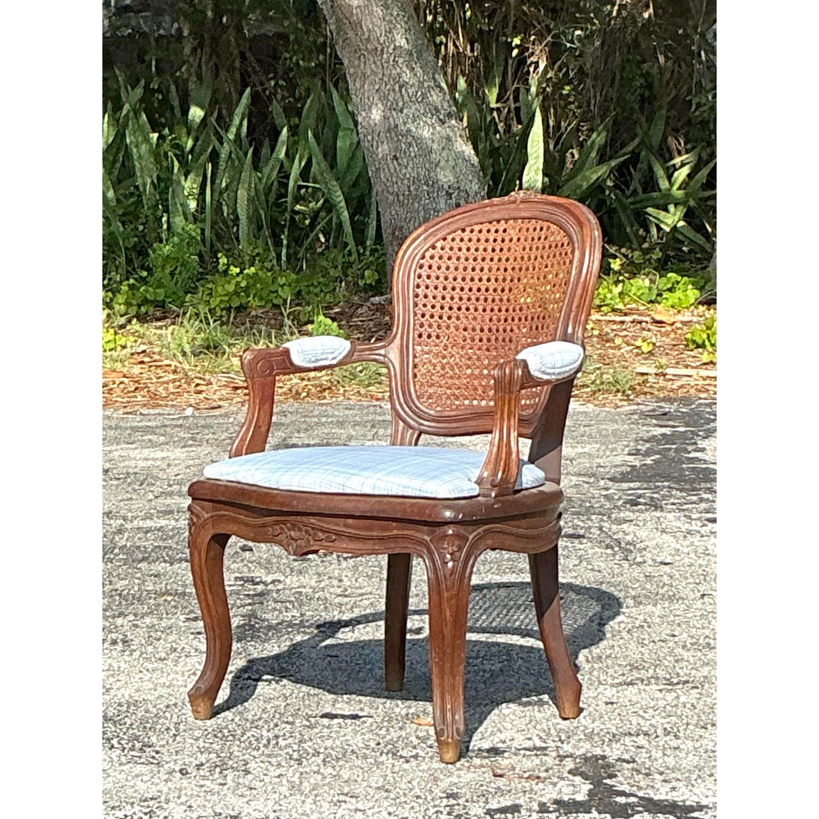 Vintage Regency Cane Fireside Fauteuil Chair - Top view