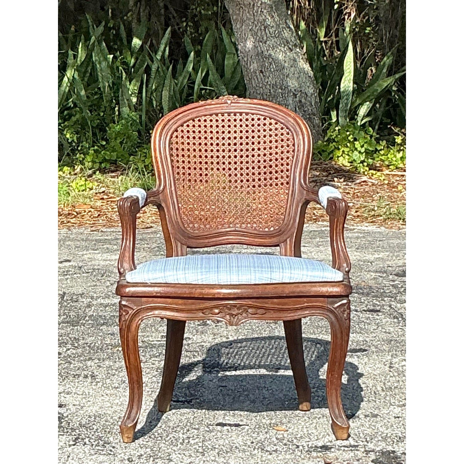 Vintage Regency Cane Fireside Fauteuil Chair - Detail view