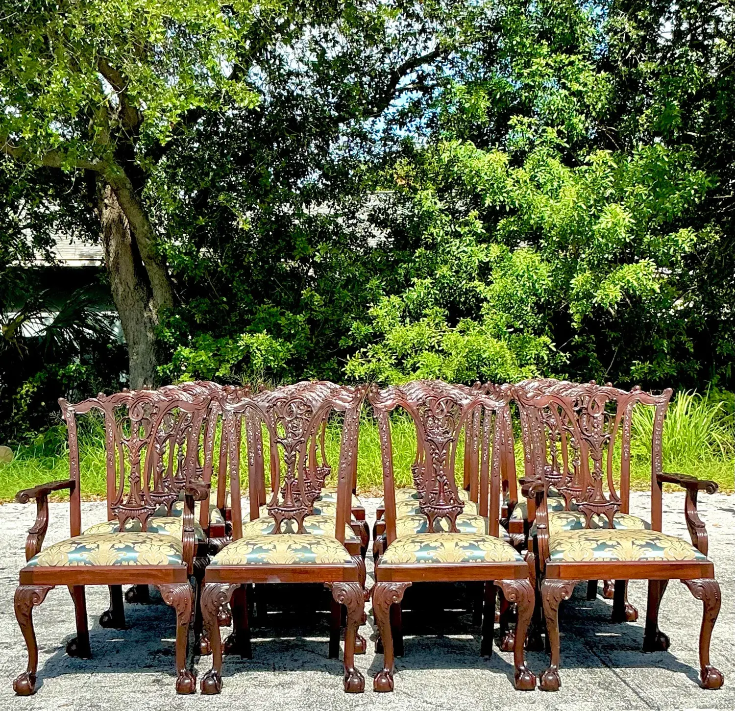 Vintage Regency Chippendale Carved Claw and Ball Dining Chairs - Set of 16 - Back view