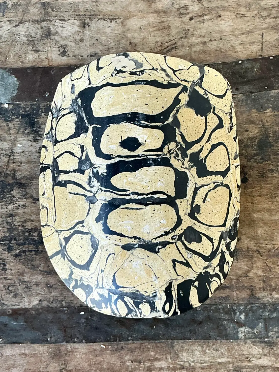 Vintage Scagliola Artisanal Pigmented Plaster Turtle Shell - Top view