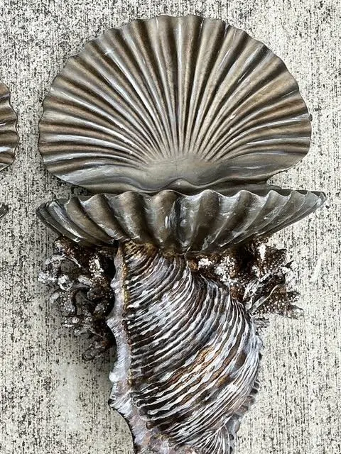 Vintage Silvered Clam Shell Brackets - A Pair - Top view
