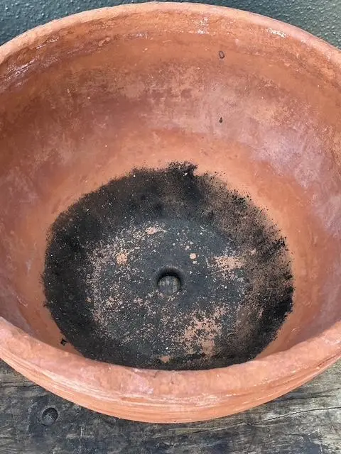 Vintage Washed Terracotta Planter Bowls - Set of 2 - Detail view